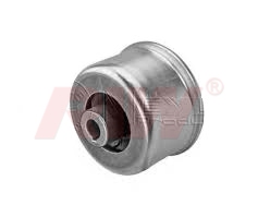  Control Arm Bushing