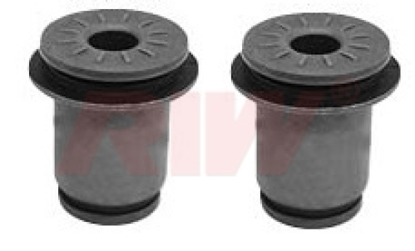 lincoln-blackwood-2002-control-arm-bushing